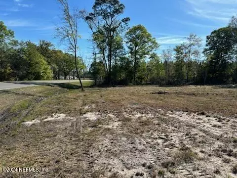 Hilliard, FL 32046,LOT 64 COUNTY ROAD 108 County Road