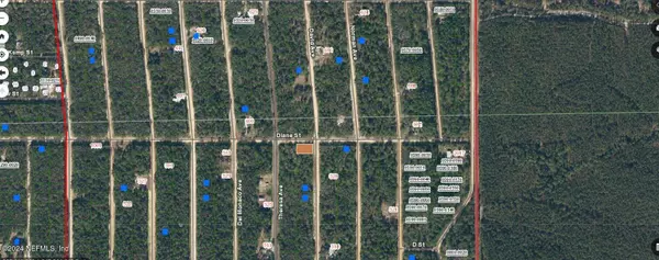 Interlachen, FL 32148,00000000 NORMAN AVE