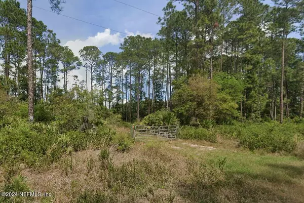 Georgetown, FL 32139,160 EDGEMERE DR