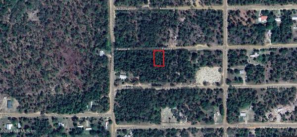 0 PANAMA ST, Interlachen, FL 32148