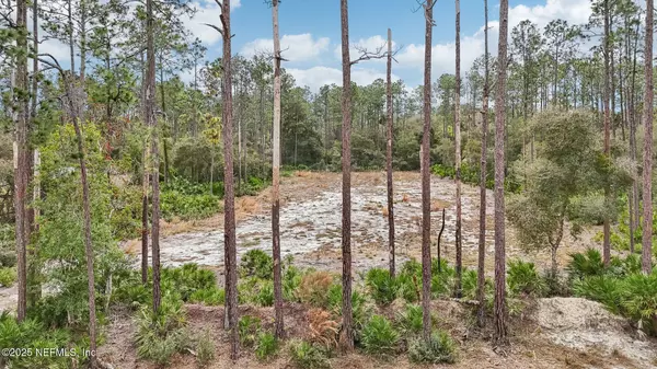 Georgetown, FL 32139,207 PONDEROSA PINES CT