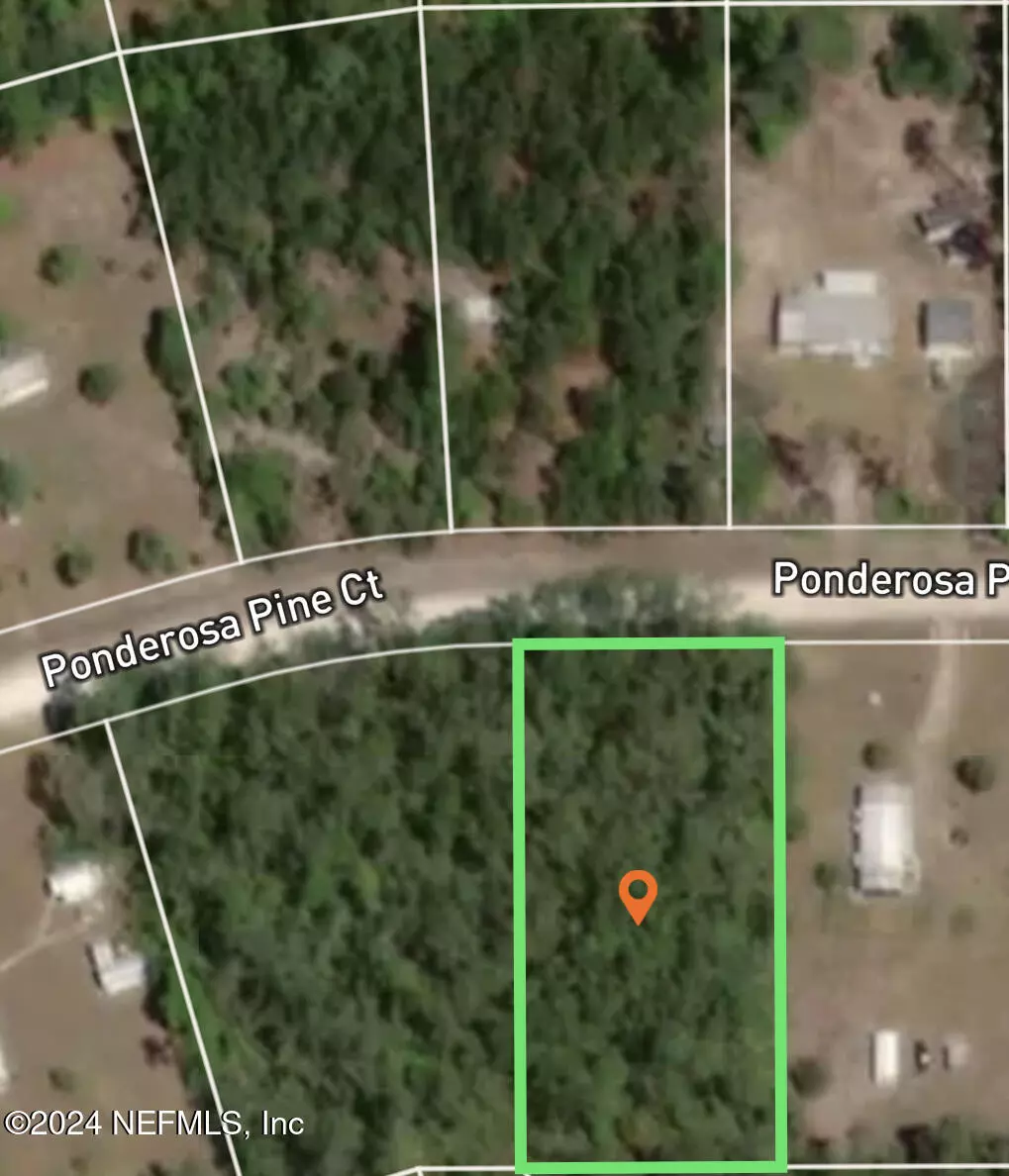 Georgetown, FL 32139,207 PONDEROSA PINES CT