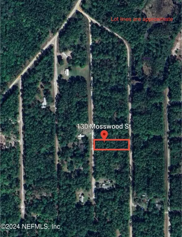 Georgetown, FL 32139,130 MOSSWOOD ST