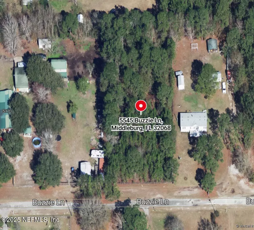 Middleburg, FL 32068,5545 BUZZIE LN