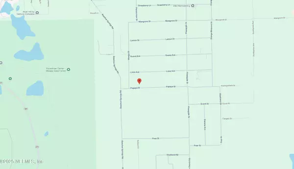 Pomona Park, FL 32181,208 PAPAYA ST