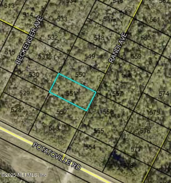 Hastings, FL 32145,000 RANDI AVE