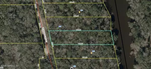 Lee, FL 32058,LOT 4 NE MADISON BLUFFS WAY