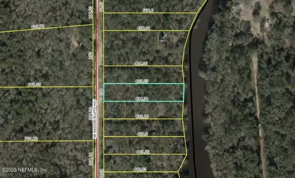 Lee, FL 32058,LOT 12 NE MADISON BLUFFS WAY