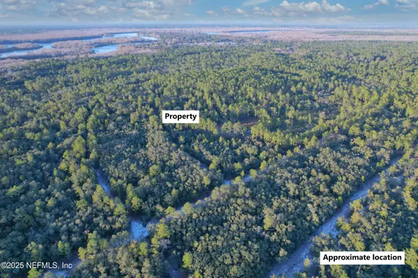 Satsuma, FL 32189,0 GILBERT DR