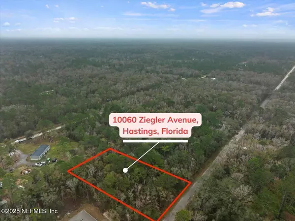 10060 ZIGLER AVE, Hastings, FL 32145