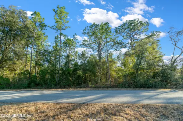 Dunnellon, FL 34431,0 NW FAIRVIEW AVE