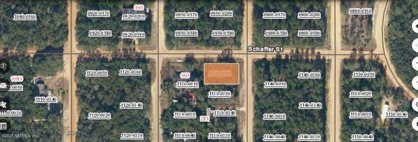 00000000 NEILSEN AVE, Interlachen, FL 32148