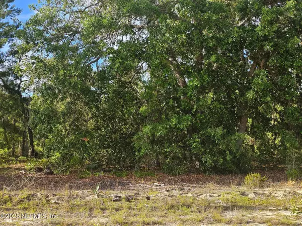 Interlachen, FL 32148,1302 MAIN ST