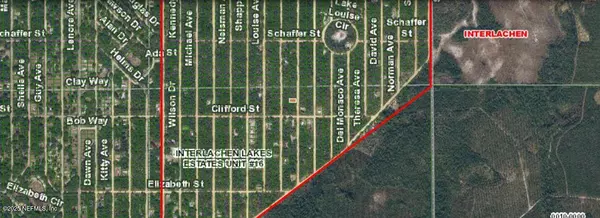 Interlachen, FL 32148,010 NEILSEN AVE