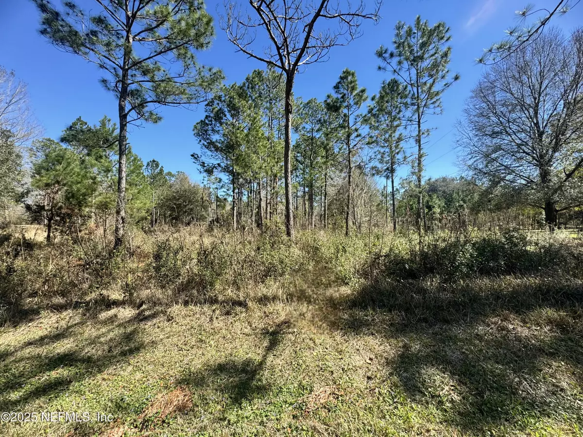 Raiford, FL 32083,NE 135TH CT