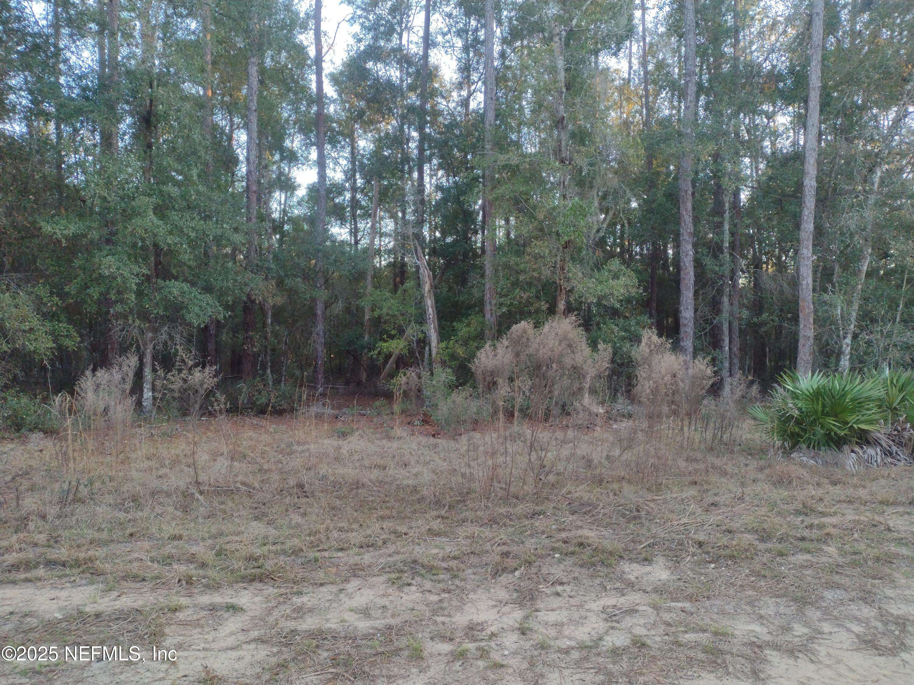 Melrose, FL 32666,93 TUCKER LAKE RD