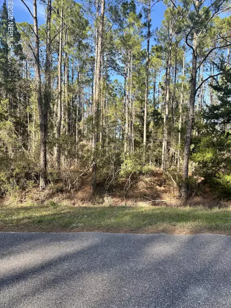 4320 VICKI ST, Hastings, FL 32145