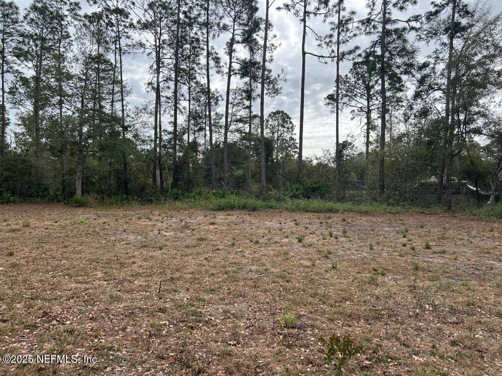 Middleburg, FL 32068,2535 SUNFLOWER AVE