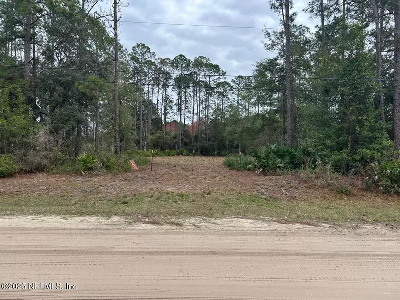 2535 SUNFLOWER AVE, Middleburg, FL 32068
