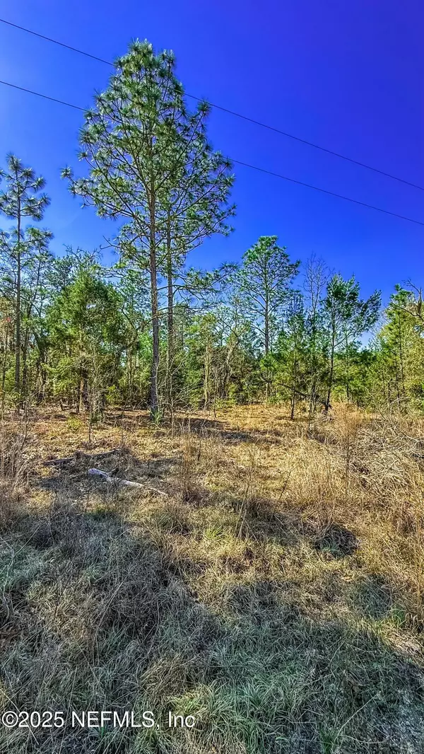 515 INTERLACHEN BLVD, Interlachen, FL 32148