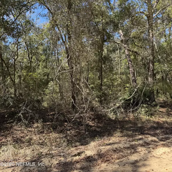 Interlachen, FL 32148,00 BRETT AVE