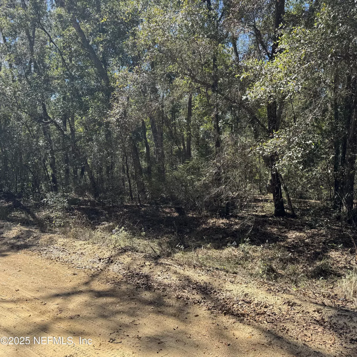 Interlachen, FL 32148,00 BRETT AVE