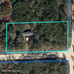 Bronson, FL 32621,12491 NE 88TH LN