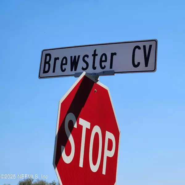 Green Cove Springs, FL 32043,1134 BREWSTERS CV