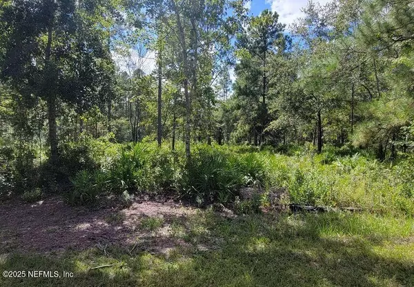 Keystone Heights, FL 32656,4329 BONDARENKO RD