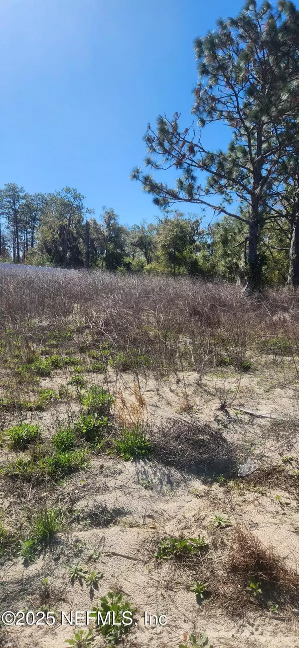 Welaka, FL 32193,427 RIVER HILL DR