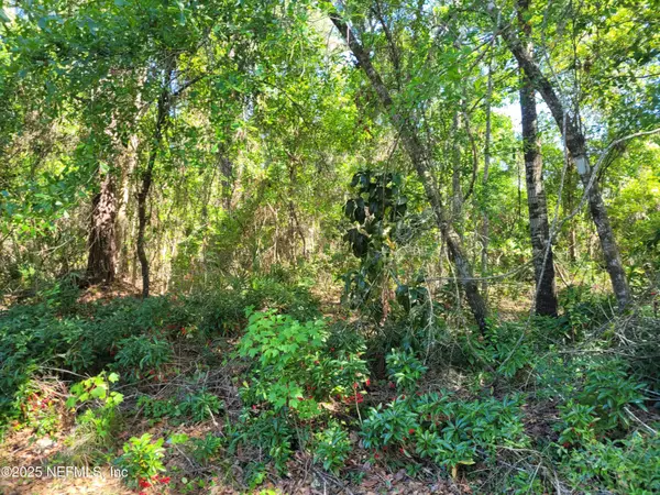 Crescent City, FL 32112,209 SOUTHERN AVE