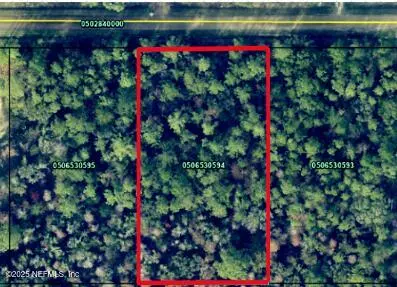 4755 DAVID ST, Hastings, FL 32145