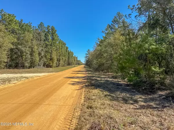 Hawthorne, FL 32640,0 DEW DROP DR