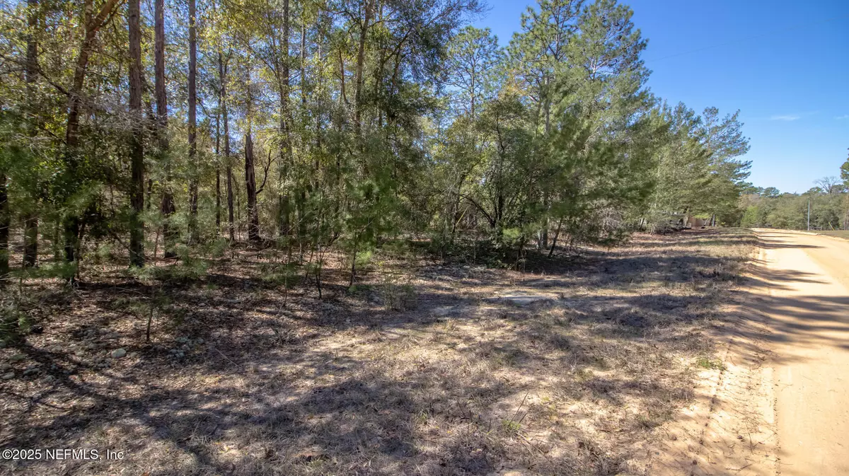 Hawthorne, FL 32640,0 DEW DROP DR