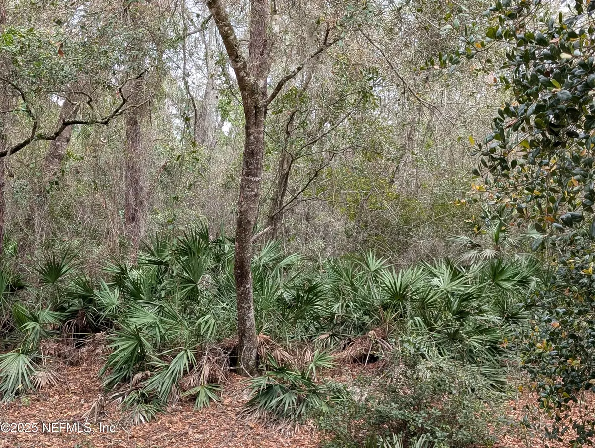 Georgetown, FL 32139,111 CYPRESS DR