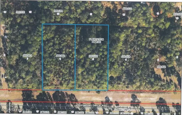 Georgetown, FL 32139,350 & 354 GEORGETOWN DENVER RD
