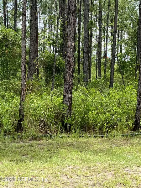 0 CANAVERAL TRCE, Middleburg, FL 32068