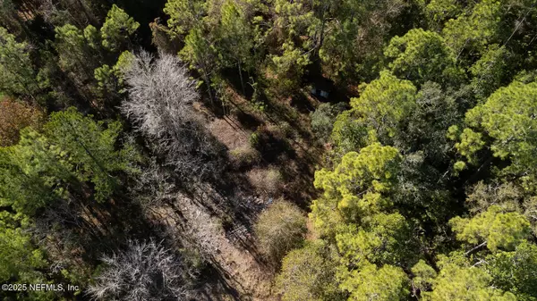 San Mateo, FL 32187,149 PALMETTO POINT LN