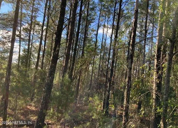 Interlachen, FL 32148,103 FLOWER DR