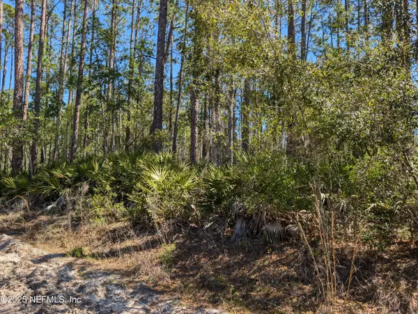 Interlachen, FL 32148,LOT 35 DINES AVE
