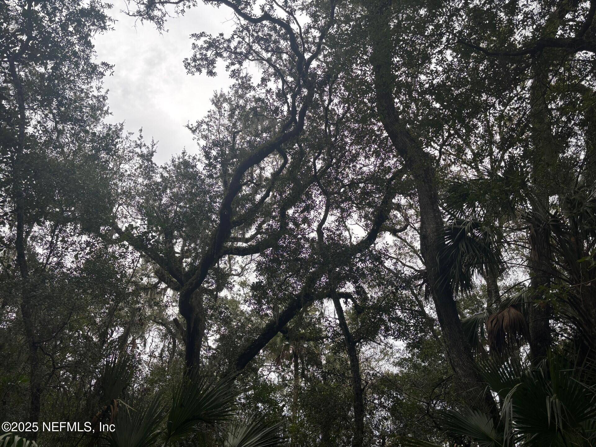 Ponte Vedra Beach, FL 32082,1162 NECK RD