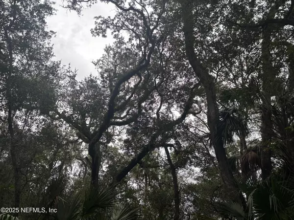 Ponte Vedra Beach, FL 32082,1162 NECK RD