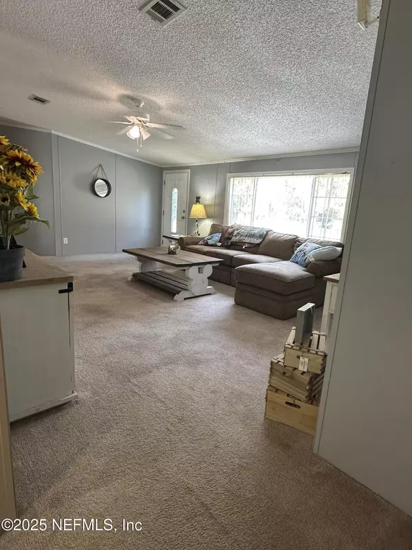 Georgetown, FL 32139,203 PALMETTO CT
