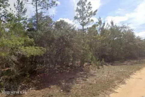Interlachen, FL 32148,0000 BRETT AVE