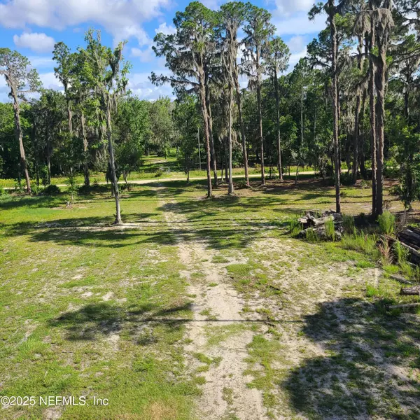 Georgetown, FL 32139,212 ATKINS RD