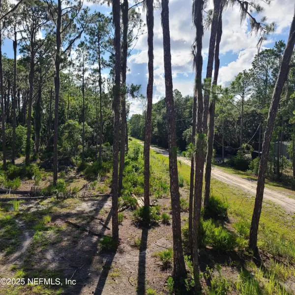 Georgetown, FL 32139,212 ATKINS RD