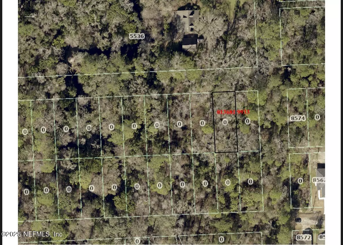Jacksonville, FL 32244,0 HEWITT ST
