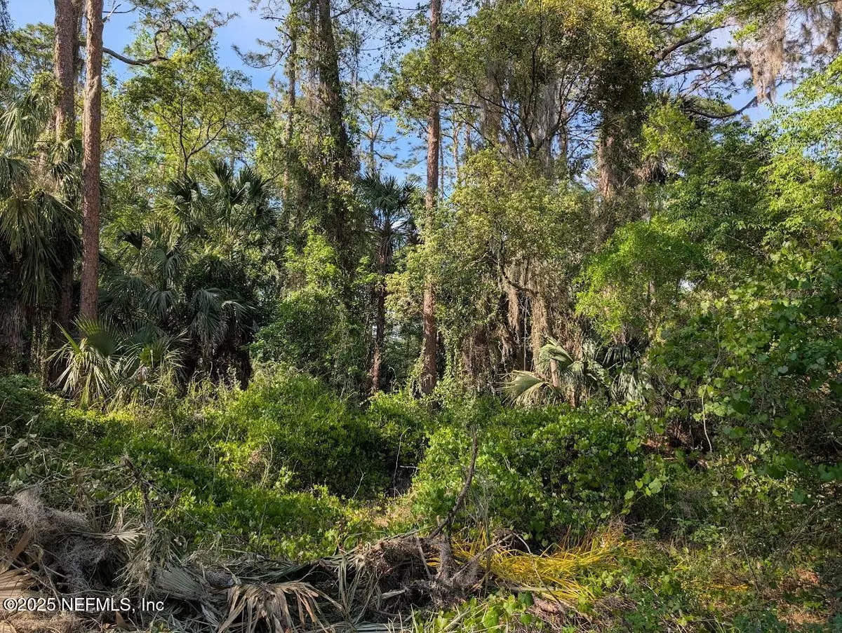 Crescent City, FL 32112,0 000 CAROL AVE