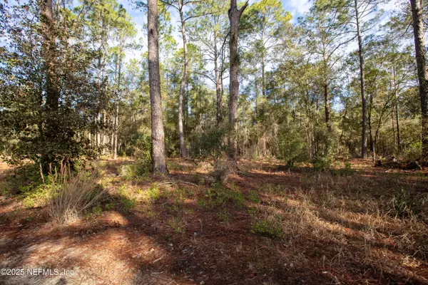 Melrose, FL 32666,0000 LAKE EVERETT DR