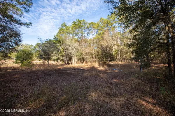 Melrose, FL 32666,00000 BLAZING STAR RD